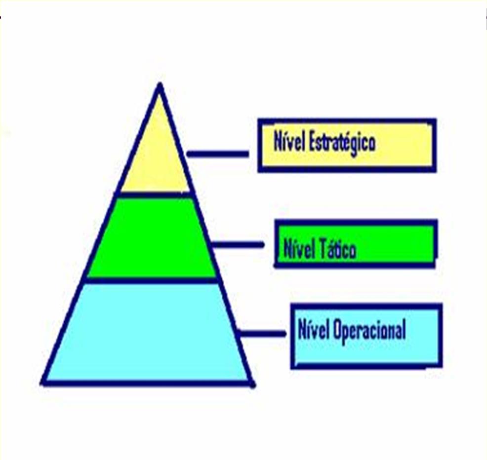 2.4 Hierarquia Níveis Institucional (estratégico) Diretores