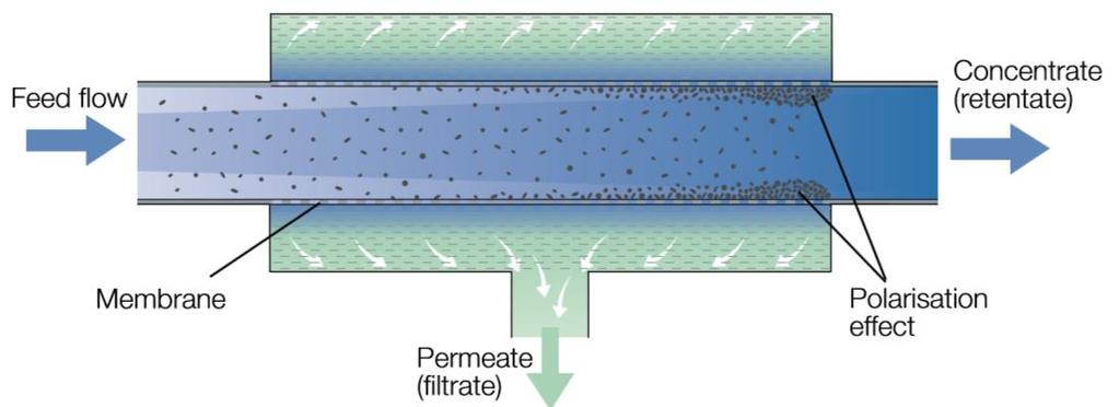 Atualmente, já existem novas técnicas aplicadas na indústria dos lacticínios, como é o caso da tecnologia de membranas.