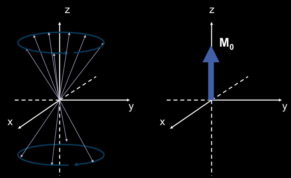 2.2 Magnetização Macroscópica A técnica de ressonância magnética não mede o sinal de apenas um núcleo, mas sim a soma de todos os momentos magnéticos individuais da amostra em questão, denominada