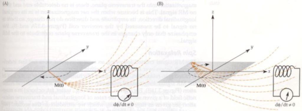 onde é o campo magnético oscilante por unidade de corrente e criada pela amostra. é a magnetização Podemos notar que a fem também oscila na frequência de Larmor, assim como os pulsos de excitação.