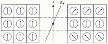 Para adquirirmos a imagem de RM, ou seja, codificar o sinal, é preciso passar por três estágios dependentes de um gradiente espacial específico: A seleção de corte ou fatia (G z ); A codificação de