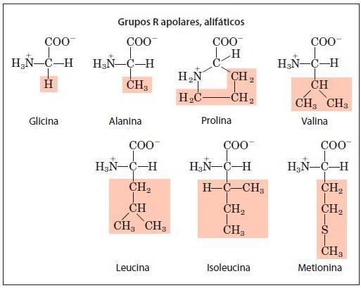 Classificação de acordo com o grupo R Os grupos R nesta classe de aminoácidos são apolares e hidrofóbicos.