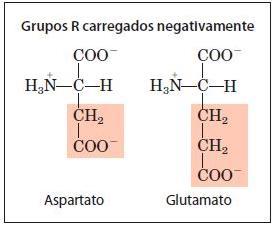 Classificação de acordo com o grupo R Os dois aminoácidos que apresentam grupos R com carga