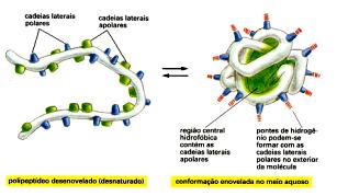 Fosfoproteínas: grupo prostético = ácido fosfórico. Ex: caseina (leite), vitelina (gema do ovo). 3.