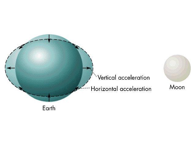 Como a água líquida flui muito mais facilmente que a parte sólida terrestre, acumula-se mais facilmente formando um bojo ou protuberância no sentido da Lua e outra no sentido oposto.