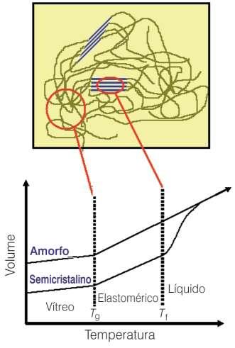 Transições de Fase no Aquecimento TRANSIÇÃO VÍTREA Polímero amorfo rígido torna-se flexível e elástico ao ser aquecido acima da Tg FUSÃO