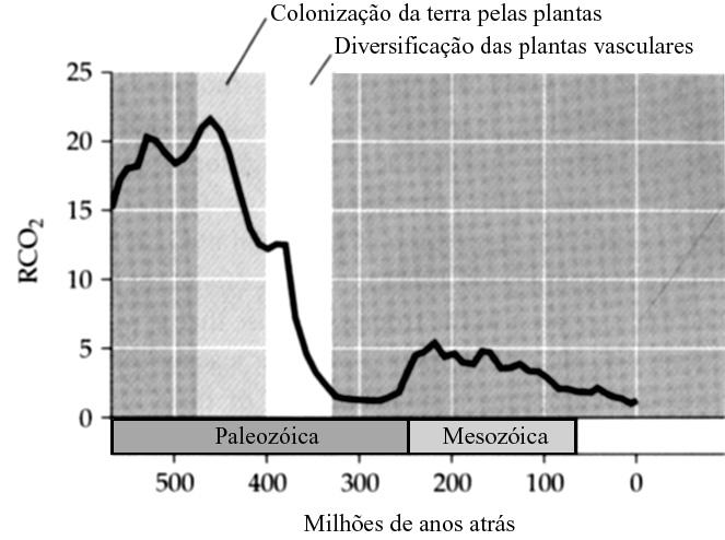 Questão 04 (Valor: 20 pontos) A curva, no gráfico, representa estimativas sobre as concentrações de CO 2 atmosférico, em diferentes épocas, tomando como base a concentração atual (RCO 2 ).