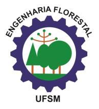 UNIVERSIDADE FEDERAL DE SANTA MARIA CENTRO DE CIENCIAS RURAIS CURSO DE ENGENHARIA FLORESTAL NORMAS PARA O TRABALHO DE CONCLUSÃO DE CURSO 1.