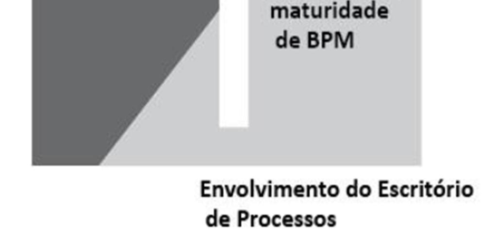 competências para se encarregar da melhoria e do gerenciamento do dia-adia dos