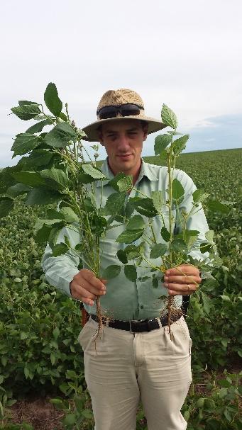 Coordenadores de Agricultura de Precisão Coordenadores