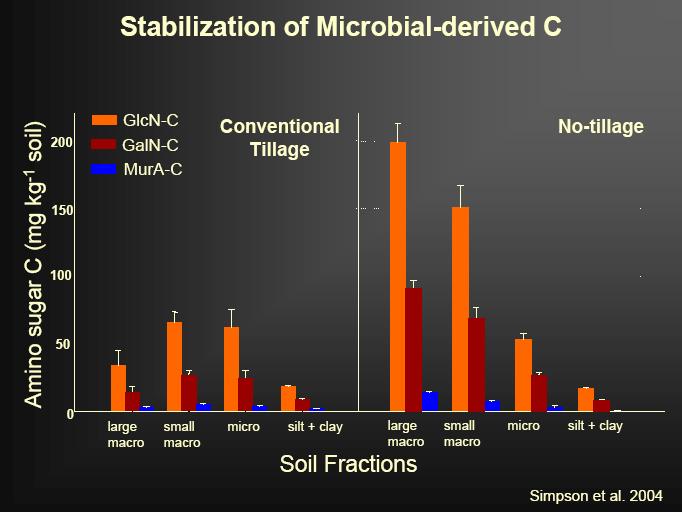 A MICROBIOTA EM AGREGADOS C (AMINOAÇÚ ÇÚCARES) (mg kg -1 solo) Carbono Microbiano (Fungo 63% ; Bactéria 37%)