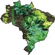 Brasil e