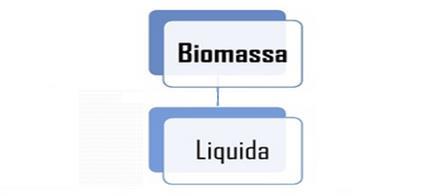 A biomassa