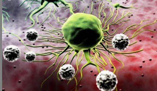 CURIOSIDADE Segundo o médico oncologista Carl Simonton células cancerígenas são tão frágeis que é quase impossível cultivá-las num tubo de ensaio.
