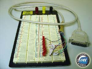 Figura 4: Terminais de um LED. Para construir circuitos, recomendamos a utilização de um protoboard. Protoboards permitem a você montar protótipos sem a necessidade de nenhum tipo de solda.