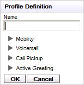 6.4 Adicionar um perfil Além dos 3 perfis padrão, você pode adicionar outros 5. Perfis: Editar um perfil 1.Selecione a guia Configurar. 2.A lista de perfis é mostrada na parte superior do formulário.