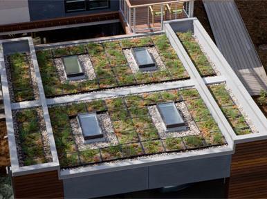 Sistemas modulares de telhados verdes: Pouca estética e plantas de deserto (suculentas).