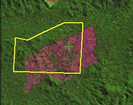Imagem TM/Landsat 2008 Critérios de Interpretação visual Landsat/TM RGB 543 Cobertura da Terra Processo de desmatamento Predomínio de tonalidade verde, textura rugosa e sombra.