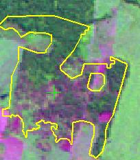 Cobertura florestal, textura heterogênea, com sombra, indicando a estrutura florestal complexa e não alterada. Floresta não alterada Tonalidade magenta, ou verde muito claro (esmaecido).