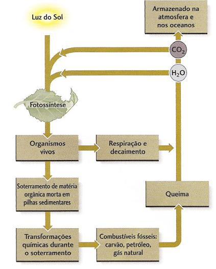 Petróleo e