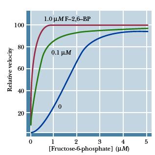 Frutose 2,6 bisfosfato,