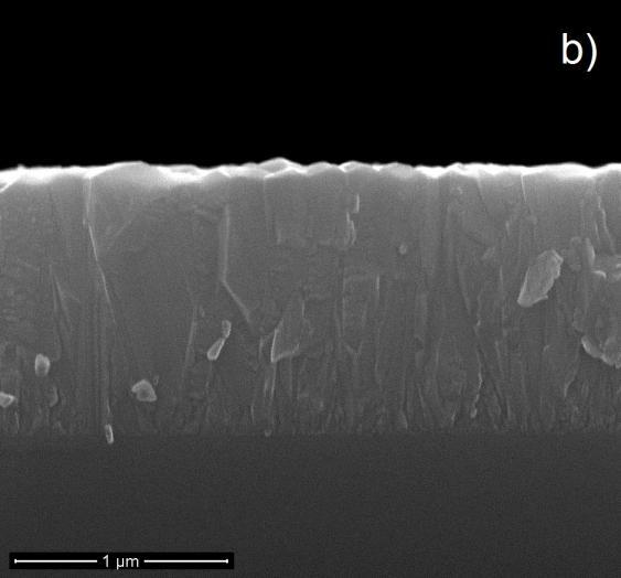 Duminica e colaboradores (10) utilizaram a técnica AP-MOCVD para crescer filmes de TiO 2 sobre substratos de aço inoxidável e Si(100) em temperaturas na faixa de 400-600ºC.