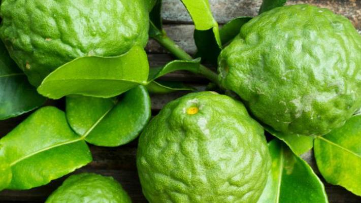 14 Bergamot Citrus bergamia (Bergamota) ORIGEM: ITÁLIA Principais Benefícios Aroma calmante e relaxante. Fornece benefícios de purificação da pele.