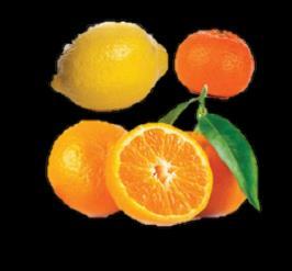 Ingredientes Laranja selvagem, limão, toranja, mandarina, bergamota, tangerina, clementina, baunilha.