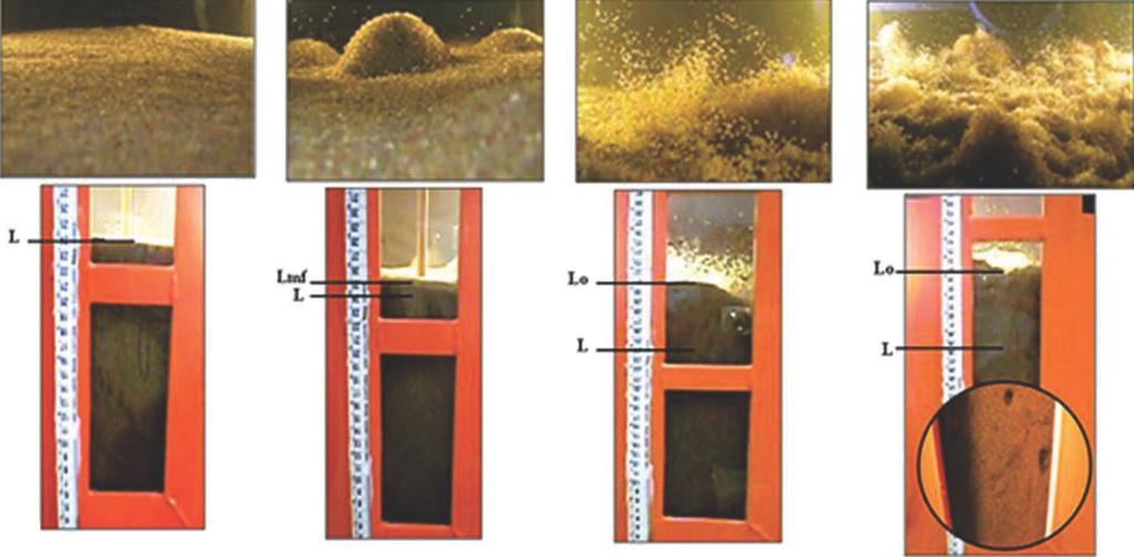 1 2 3 4 Figura 10. Visualização dos regimes de fluidização durante o processo de retrolavagem em filtros de areia.