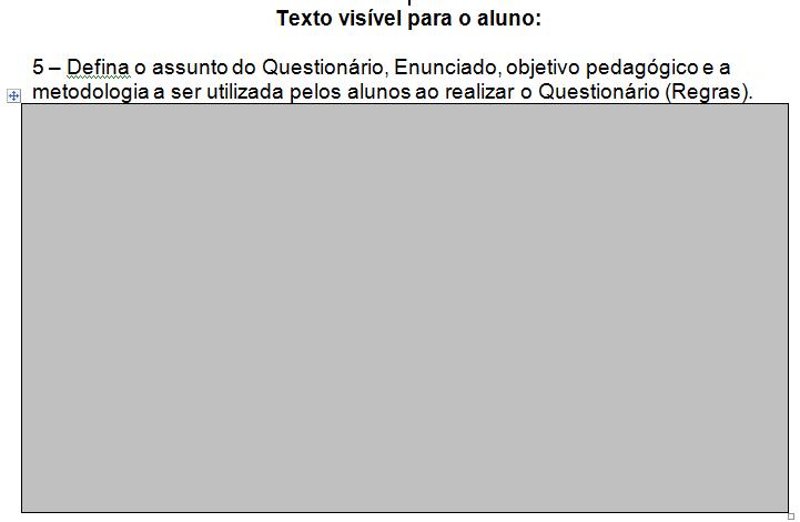 Figura 3 - Texto visível ao aluno Ainda na primeira folha do formulário, pode ser visualizada a descrição das configurações gerais que o professor pode escolher para as questões (figura 4).