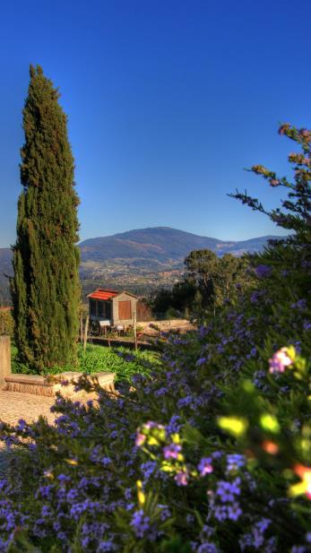 No final da década de 80, após alguma incerteza sobre o destino da Quinta do Mato, a dedicação integral à produção de uva foi uma escolha natural fruto das características da exploração.