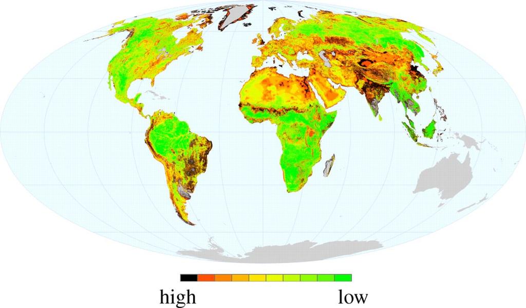 Global hotspots of fragmentation and core habitat for the world's terrestrial mammalian carnivores