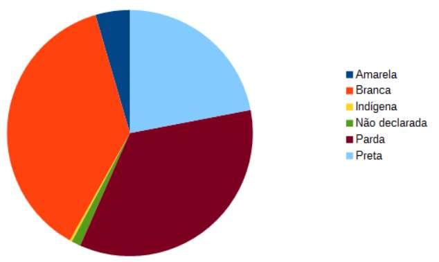 7 Gráfico 02: Cor ou raça dos alunos, segundo questionário respondido por 333 estudantes. Fonte: Relatório de Atividades - Terceiro Trimestre de 2016.