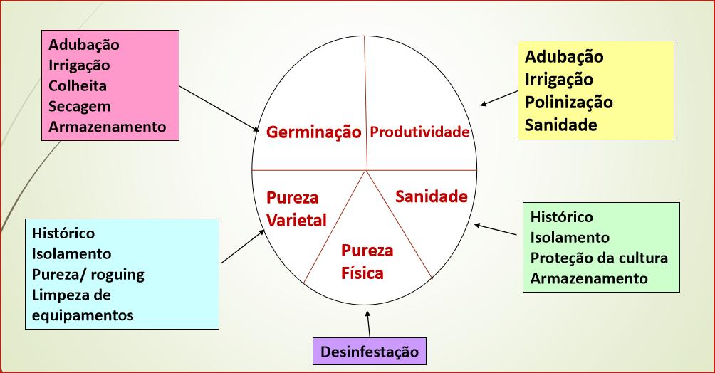 PRODUÇÃO