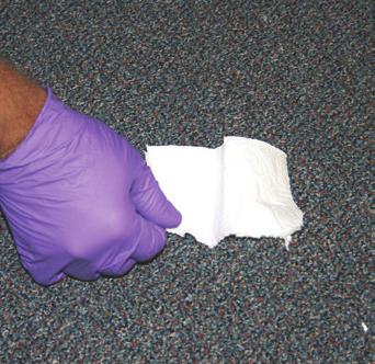 Procedimentos de remoção de manchas continuação 5 Colete os detritos maiores no carpete.