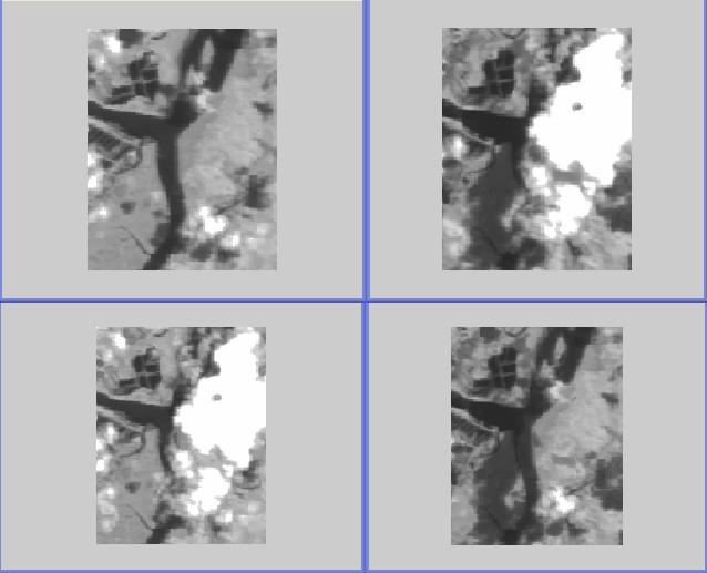 (b) Imagens originais reais em t1 e t2, imagem de nuvem, imagem de sombra. Figura 4 Imagens sintéticas originais e resultado com a função de máximo e mínimo aplicada pixel a pixel.
