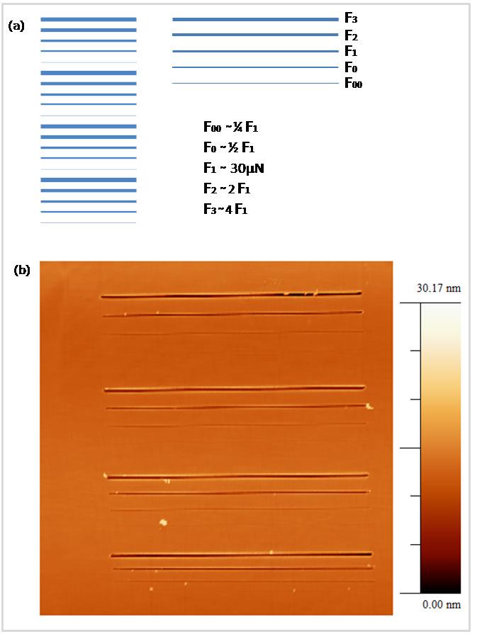 A física da nanolitografia em semicondutores cúbicos 42 Figura 4.2 (a) Esquema mostrando o padrão de riscos feitos no substrato de InP. (b) Imagem de AFM do padrão de riscos.