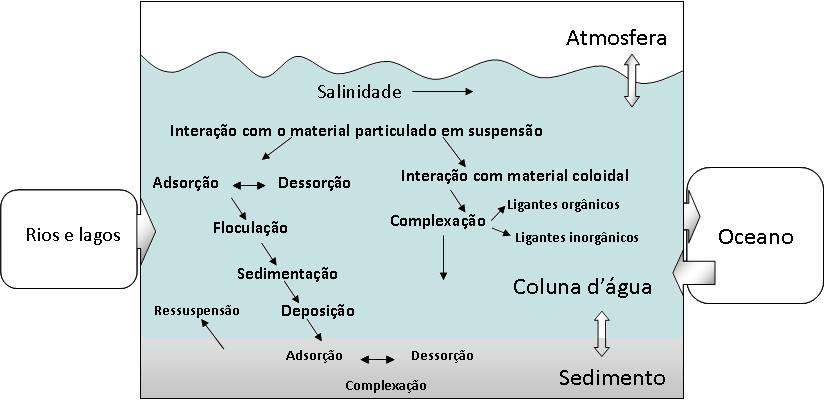 29 Figura 1: Comportamento dos metais no estuário. Adaptado de OLIVEIRA; MARINS, 2011.