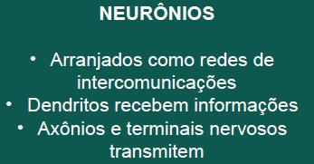 SNC Todos os estímulos do nosso ambiente causam, nos seres humanos, sensações como dor e calor.