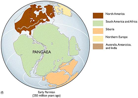 Os actuais continentes resultam da fragmentação de Pangea. -!