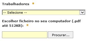 Pedido de apoio 1º e 2º Passos Preenchimento e submissão do formulário Informação a