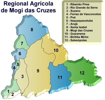 66% da produção do estado de São Paulo