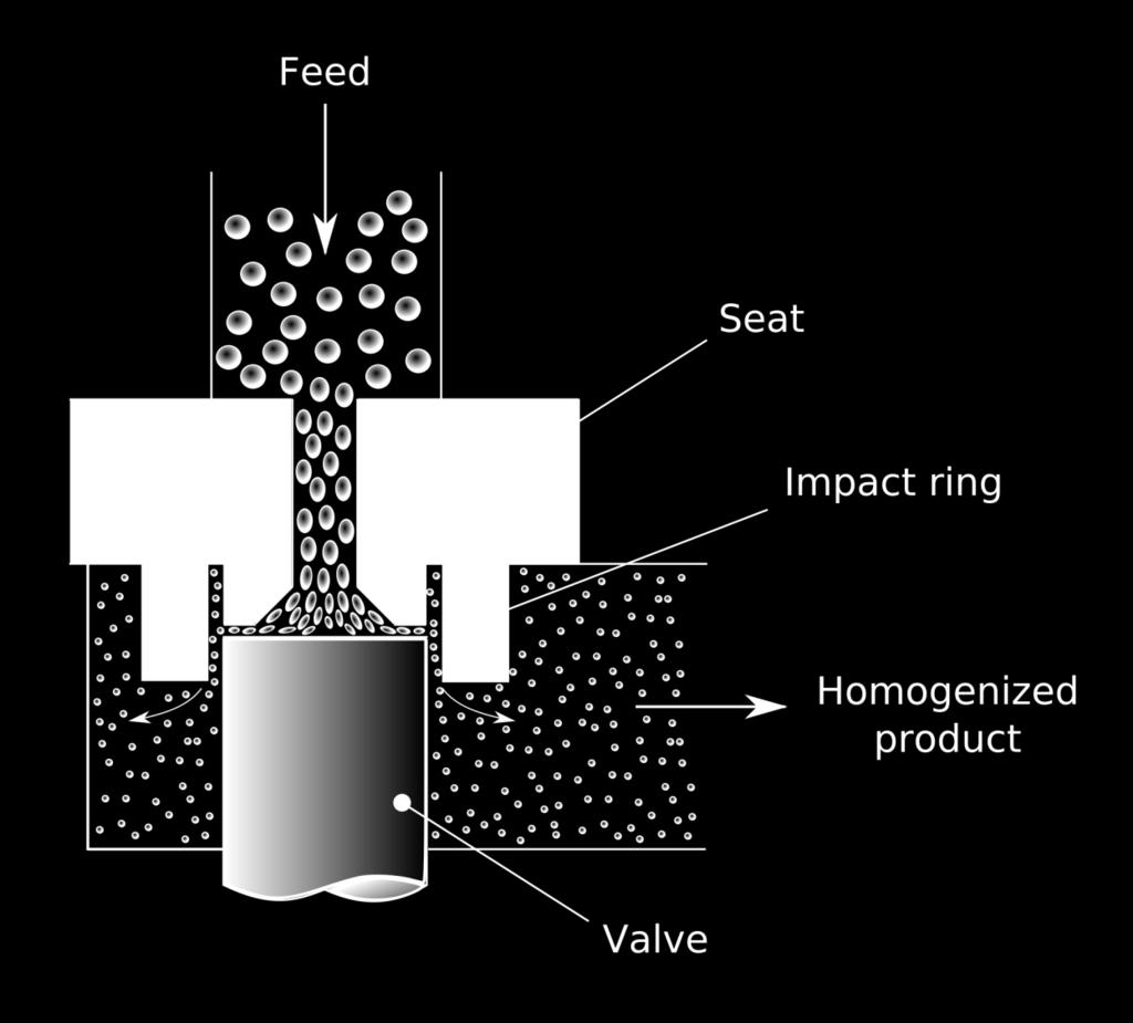 Processamento do leite Padronização/homogeneização: Os jatos de leite desnatado e creme