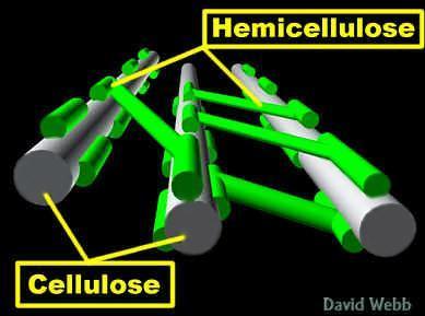 HEMICELULOSE Cinco açucares neutros, as hexoses : glucose, manose e