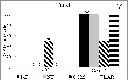 mass (MF) and number of fruits (NF) per plant, lenght (COM) and width (LAR) average of fruits of tomato to the violated presuppositions and percentage of cases without efficient transformation (Sem T.