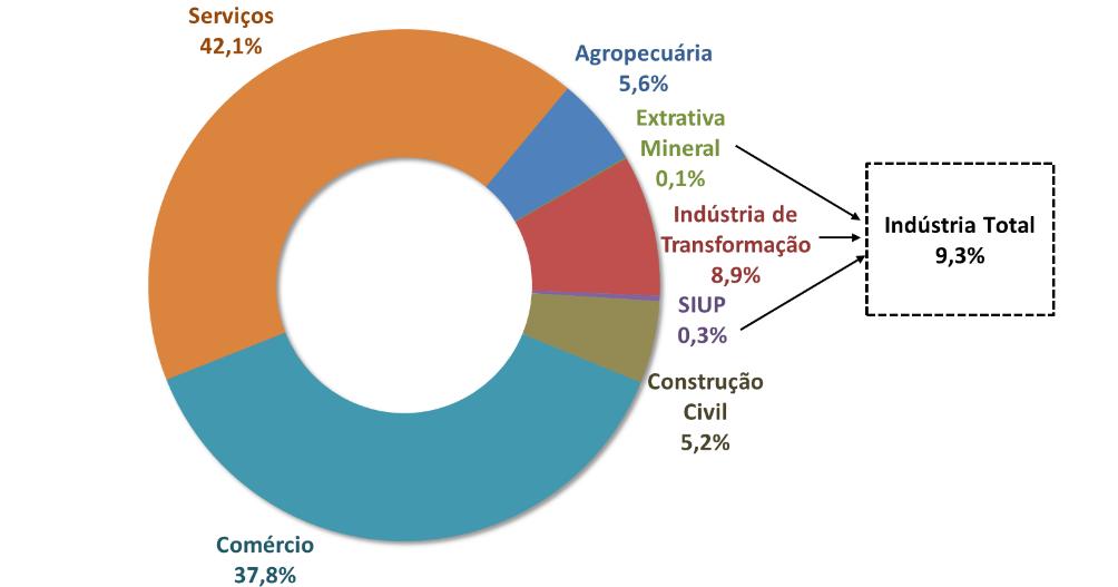 Gráfico 12: Estabelecimentos por Setores da Economia Paulista em 2015 Fonte: RAIS- MTE 3.2.6.