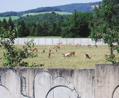 Ročník XIV. 28. 7.