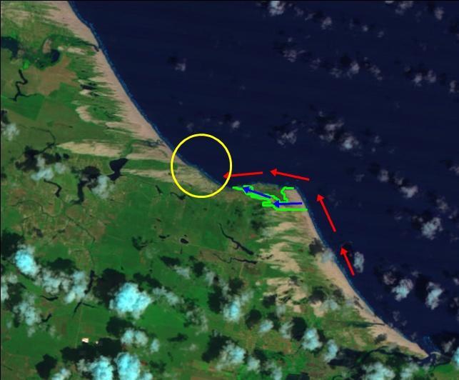 Figura 10 - Delimitação da área da ponta ocupada por dunas de bypass em verde, bypass costeiro indicado em azul, bypass litorâneo em vermelho.