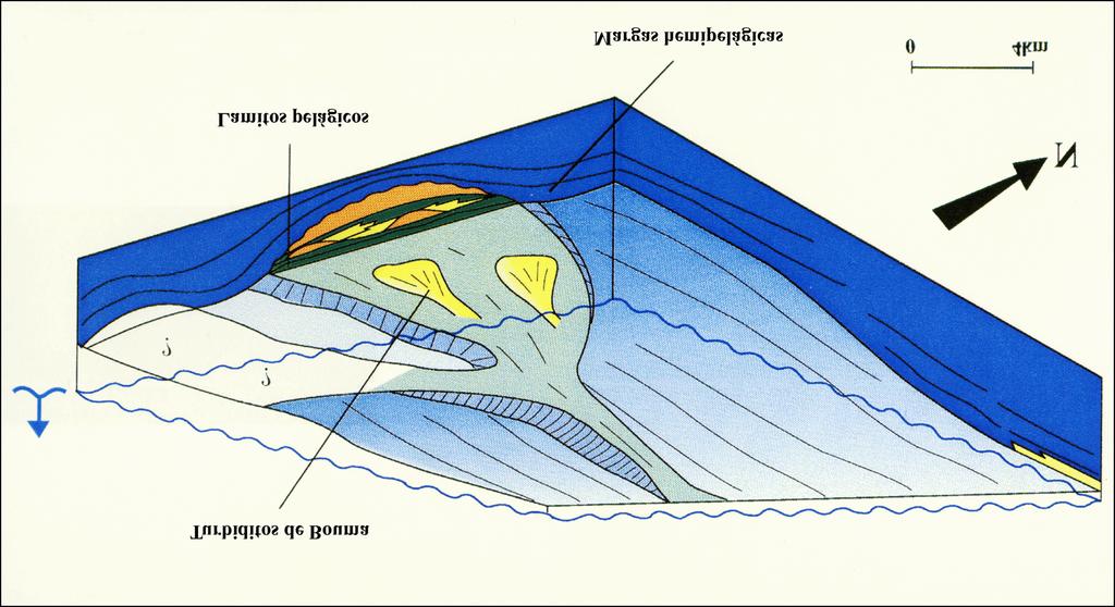 3. Fácies Sedimentares Com o objetivo de interpretar com maior resolução as fácies sedimentares que compõem os reservatórios turbidíticos do Campo de Namorado, foram analisados os perfis litológicos