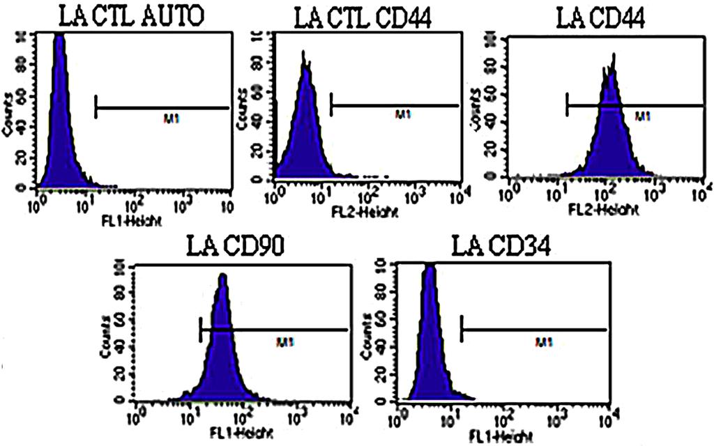 Toluidina (Fig.4D-E). Fig.3. Gráficos da citometria de fluxo de amostra de células fibroblastóides derivadas de líquido amniótico (LA) equino colhido no terço inicial da gestação.